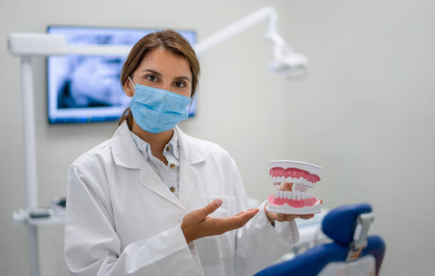 Best Broken or Cracked Tooth Emergency Dentist in Citrus Park, FL